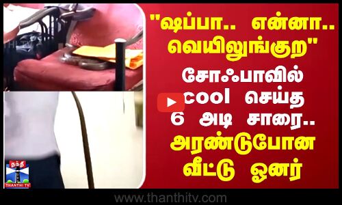 ஷப்பா.. என்னா.. வெயிலுங்குற சோஃபாவில் cool செய்த 6 அடி சாரை.. அரண்டுபோன வீட்டு ஓனர்
