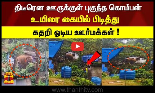 திடீரென ஊருக்குள் புகுந்த கொம்பன்.. உயிரை கையில் பிடித்து கதறிய ஓடிய ஊர்மக்கள் !