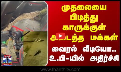 UttarPradesh | Crocodile | முதலையை பிடித்து காருக்குள் அடைத்த மக்கள்.. வைரல் வீடியோ.. உ.பி-யில் அதிர்ச்சி
