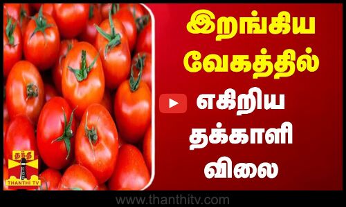 இறங்கிய வேகத்தில் எகிறிய தக்காளி விலை