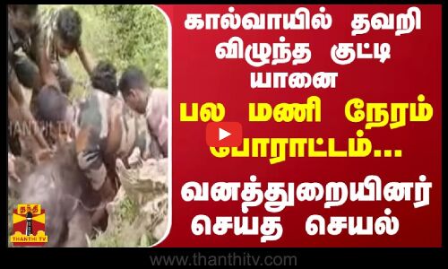 கால்வாயில் தவறி விழுந்த குட்டி யானை.. பல மணி நேரம் போராட்டம்... வனத்துறையினர் செய்த செயல்