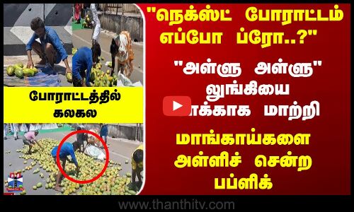 லுங்கியை சாக்காக மாற்றி... மாங்காய்களை அள்ளிச் சென்ற பப்ளிக்... போராட்டத்தில் கலகல