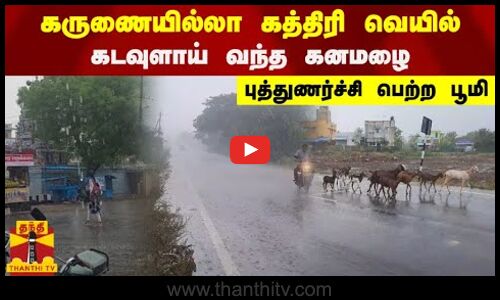 கருணையில்லா கத்திரி வெயில்.. கடவுளாய் வந்த கனமழை.. புத்துணர்ச்சி பெற்ற பூமி