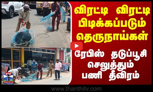 தெருநாய்களுக்கு ரேபிஸ் தடுப்பூசி செலுத்தும் பணி தீவிரம்