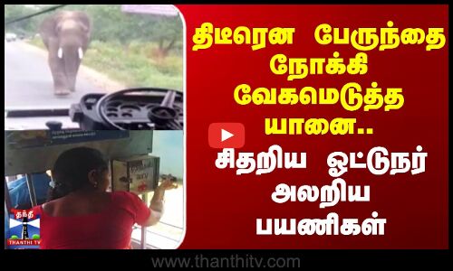 திடீரென பேருந்தை நோக்கி வேகமெடுத்த யானை.. சிதறிய ஓட்டுநர் அலறிய பயணிகள்