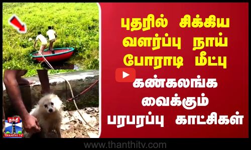 புதரில் சிக்கிய வளர்ப்பு நாய்..போராடி மீட்பு...கண்கலங்க வைக்கும் பரபரப்பு காட்சிகள்
