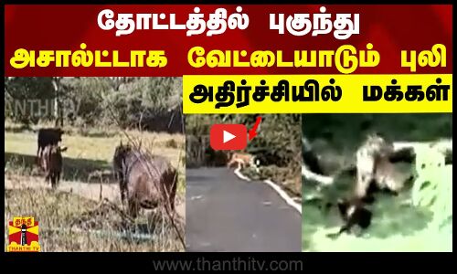 தோட்டத்தில் புகுந்து அசால்ட்டாக வேட்டையாடும் புலி - அதிர்ச்சியில் மக்கள்