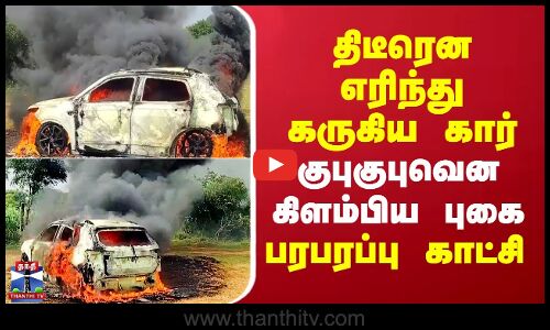 Tiruppur Car Fire Accident | திடீரென எரிந்து கருகிய கார்.. குபுகுபுவென கிளம்பிய புகை-பரபரப்பு காட்சி
