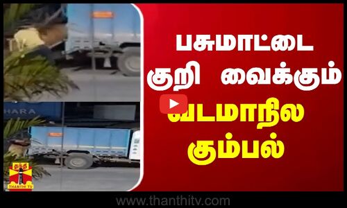பசுமாட்டை குறி வைக்கும் வடமாநில கும்பல் - வேலூரில் அதிர்ச்சி