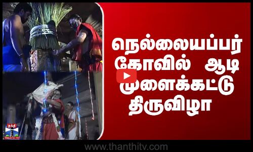 நெல்லையப்பர் கோவில் ஆடி முளைக்கட்டு திருவிழா