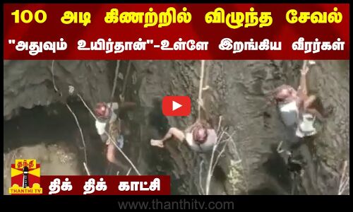 100 அடி கிணற்றில் விழுந்த சேவல் - அதுவும் உயிர்தான்-உள்ளே இறங்கிய வீரர்கள் - திக் திக் காட்சி