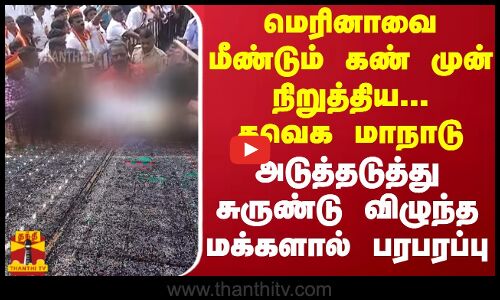 மெரினாவை மீண்டும் கண் முன் நிறுத்திய...தவெக மாநாடு - அடுத்தடுத்து சுருண்டு விழுந்த மக்களால் பரபரப்பு