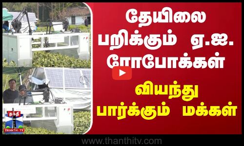 தேயிலை பறிக்கும் ஏ.ஐ. ரோபோக்கள் - வியந்து பார்க்கும் மக்கள்