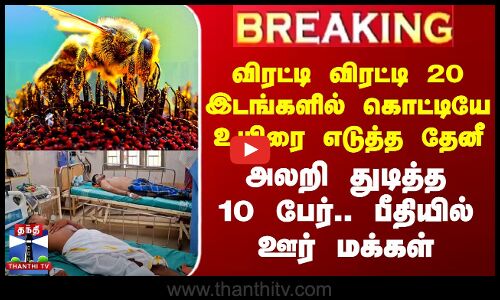 #BREAKING || விரட்டி விரட்டி 20 இடங்களில் கொட்டியே உயிரை எடுத்த தேனீ - அலறி துடித்த 10 பேர்