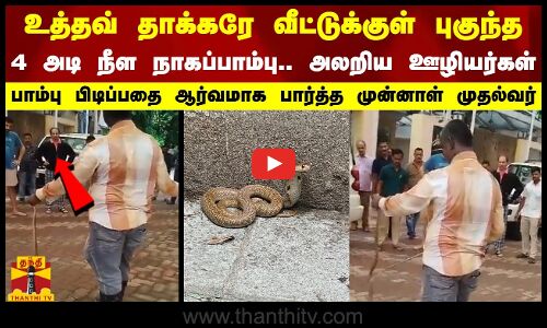 உத்தவ் தாக்கரே வீட்டுக்குள் புகுந்த 4 அடி நீள நாகப்பாம்பு - அலறிய ஊழியர்கள்