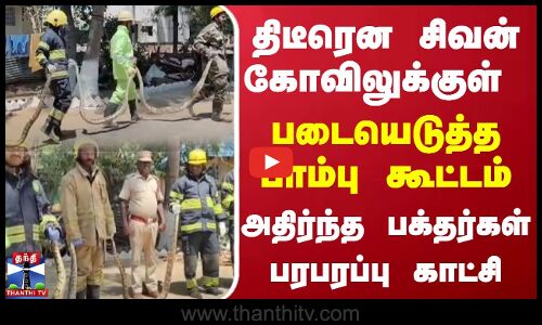 திடீரென சிவன் கோவிலுக்குள் படையெடுத்த பாம்பு கூட்டம் அதிர்ந்த  பக்தர்கள் பரபரப்பு காட்சி