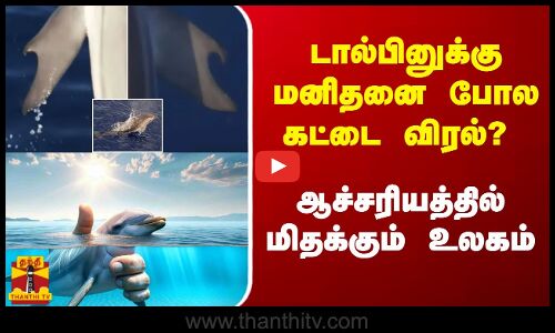 டால்பினுக்கு மனிதனை போல கட்டை விரலா? - ஆச்சரியத்தில் மிதக்கும் உலகம்