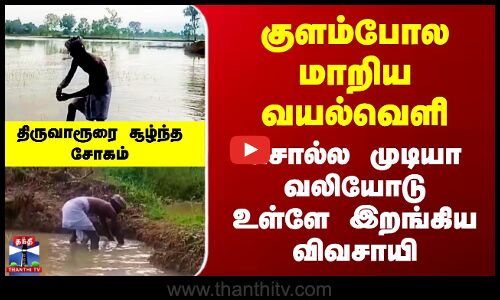 Tiruvarur | குளம்போல மாறிய வயல்வெளி - சொல்ல முடியா வலியோடு உள்ளே இறங்கிய விவசாயி