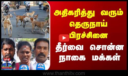 Street Interview | அதிகரித்து வரும் தெருநாய் பிரச்சினை | தீர்வை சொன்ன நாகை மக்கள்