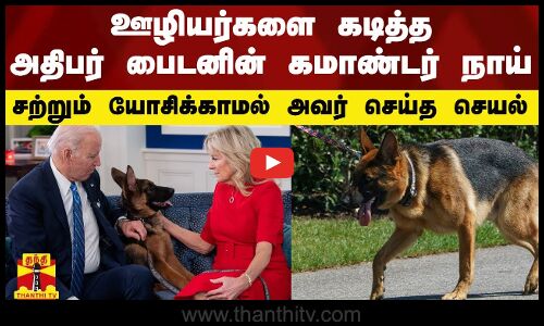 ஊழியர்களை கடித்த அதிபர் பைடனின் கமாண்டர் நாய்..சற்றும் யோசிக்காமல் அவர் செய்த செயல்