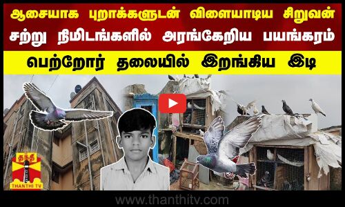 புறாக்களுடன் விளையாடிய சிறுவன்.. நிமிடங்களில் அரங்கேறிய பயங்கரம் -பெற்றோர் தலையில் இறங்கிய இடி