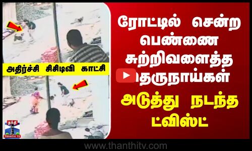 Chennai | Stray Dog | ரோட்டில் சென்ற பெண்ணை சுற்றிவளைத்த தெருநாய்கள் | அடுத்து நடந்த ட்விஸ்ட்