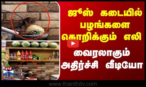 Rat eating video || ஜூஸ் கடையில் பழங்களை கொறிக்கும் எலி  - வைரலாகும் அதிர்ச்சி வீடியோ