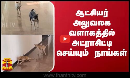 ஆட்சியர் அலுவலக வளாகத்தில் அட்ராசிட்டி செய்யும் நாய்கள்
