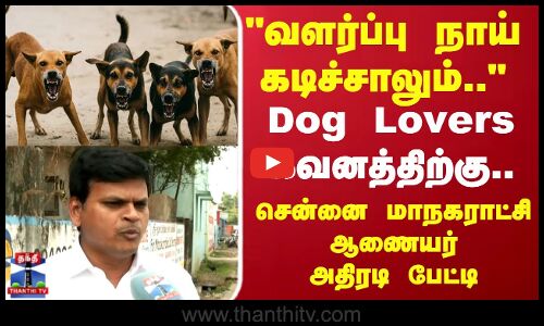 Street Dogs | Chennai | வளர்ப்பு நாய் கடிச்சாலும்.. சென்னை மாநகராட்சி ஆணையர் அதிரடி பேட்டி