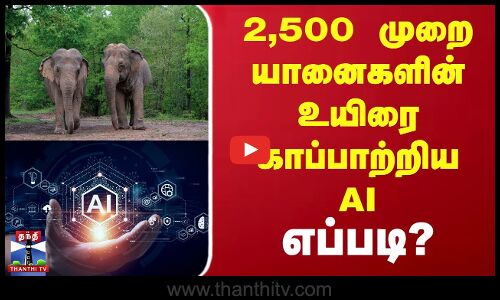AI | Elephant | 2,500 முறை யானைகளின் உயிரை காப்பாற்றிய AIஎப்படி?