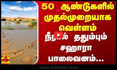 50 ஆண்டுகளில் முதல்முறையாக வெள்ளம்.. நீரால் ததும்பும் சஹாரா பாலைவனம் | Desert