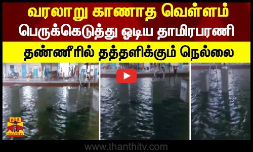 வரலாறு காணாத வெள்ளம்.. பெருக்கெடுத்து ஓடிய தாமிரபரணி! தண்ணீரில் தத்தளிக்கும் நெல்லை!