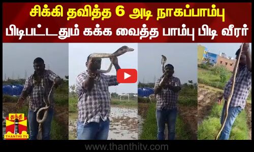 சிக்கி தவித்த 6 அடி நாகப்பாம்பு - பிடிபட்டதும் கக்க வைத்த பாம்பு பிடி வீர‌ர்