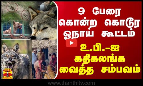 9 பேரை கொன்ற கொடூர ஓநாய் கூட்டம் - உ.பி.-ஐ கதிகலங்க வைத்த சம்பவம்