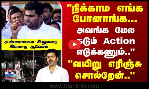 TVK Stampede |Annamalai | நிக்காம எங்க போனாங்க-அவங்க மேல Action எடுக்கணும்;வயிறு எரிஞ்சு சொல்றேன்