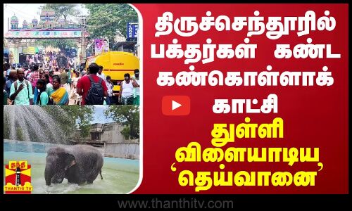 திருச்செந்தூரில் பக்தர்கள் கண்ட கண்கொள்ளாக் காட்சி - துள்ளி விளையாடிய `தெய்வானை’