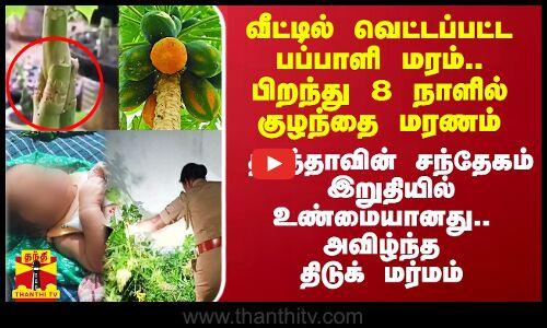 வெட்டப்பட்ட பப்பாளி மரம்.. பிறந்து 8 நாளில் குழந்தை மரணம்.. தாத்தாவுக்கு வந்த சந்தேகம் உண்மையானது