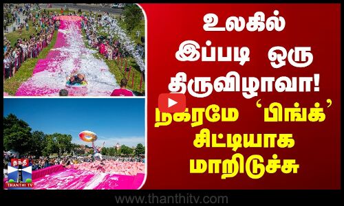உலகில் இப்படி ஒரு திருவிழாவா! நகரமே `பிங்க்’ சிட்டியாக மாறிடுச்சு