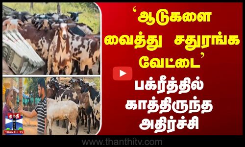 `ஆடுகளை வைத்து சதுரங்க வேட்டை - பக்ரீத்தில் காத்திருந்த அதிர்ச்சி