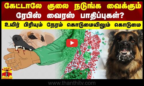 கேட்டாலே குலை நடுங்க வைக்கும் ரேபிஸ் வைரஸ் பாதிப்புகள்? -  உயிர் பிரியும் நேரம் கொடுமையிலும் கொடுமை