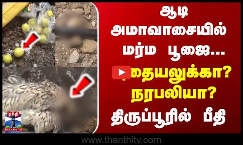 ஆடி அமாவாசையில் மர்ம பூஜை...புதையலுக்கா? நரபலியா?  திருப்பூரில் பீதி