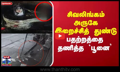 சிவலிங்கம் அருகே  இறைச்சித் துண்டு ..பதற்றத்தை தணித்த பூனை