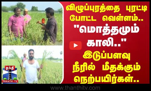 விழுப்புரத்தை புரட்டி போட்ட வெள்ளம்.. - `மொத்தமும் காலி.. இடுப்பளவு நீரில் மீதக்கும் நெற்பயிர்கள்