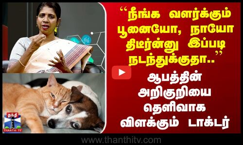 Pet Dogs | ``நீங்க வளர்க்கும் பூனையோ, நாயோ திடீர்ன்னு இப்படி நடந்துக்குதா..’’ எச்சரிக்கும் டாக்டர்