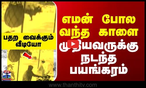 bull Attack || எமன் போல வந்த காளை.. முதியவருக்கு நடந்த பயங்கரம்