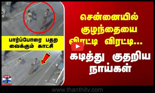 Dog Bite | சென்னையில் குழந்தையை விரட்டி விரட்டி... கடித்து குதறிய நாய்கள்