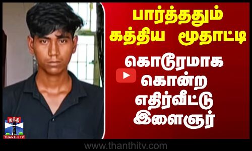 பார்த்ததும் கத்திய மூதாட்டி - கொடூரமாக கொன்ற எதிர்வீட்டு இளைஞர்