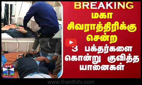 மகா சிவராத்திரிக்கு சென்ற  3 பக்தர்களை கொன்று குவித்த யானைகள்