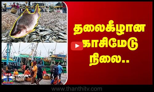 Chennai Kasimedu | தலைகீழான காசிமேடு நிலை..