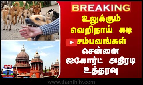 உலுக்கும் வெறிநாய் கடி சம்பவங்கள் - சென்னை ஐகோர்ட் அதிரடி உத்தரவு